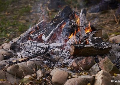 Naravoslovni dan: Ekologija in zav. območja