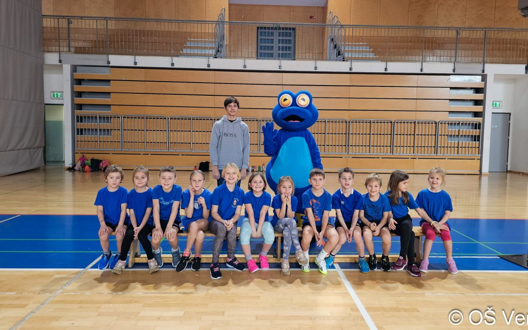 Mini olimpijada 2025