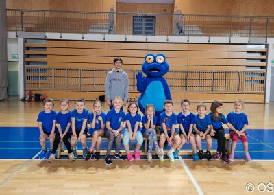 Mini olimpijada 2025